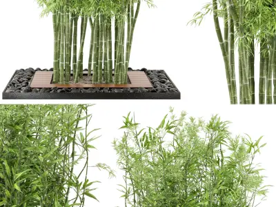 Outdoor Plants Bamboo Set  Garden Set 21  3D model