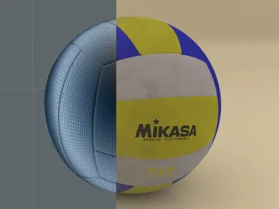 Professional Volley Ball 3D model