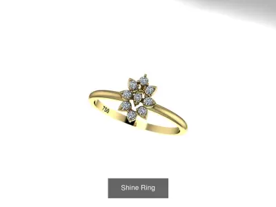 Diversified Rings 3D Model Pack