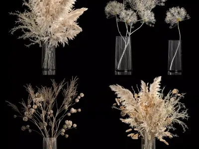 Set Of Bouquets Of Dried Flowers And Pampas Grass 280 3D model