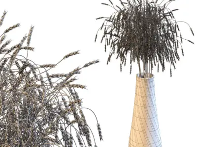 Decorative bouquet of ears of wheat 3D model