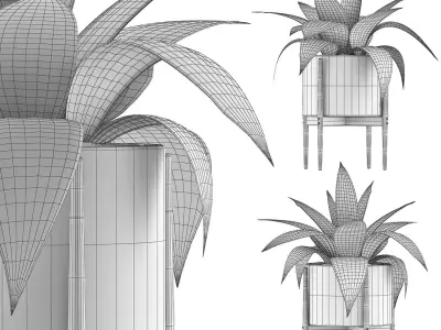 Plants Collection 63 3D model