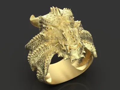 ring dragon 3D print model