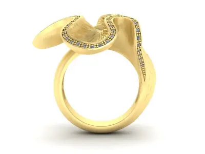 Ring Iris 3D print model