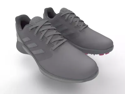 Sports Shoe Low-poly 3D model