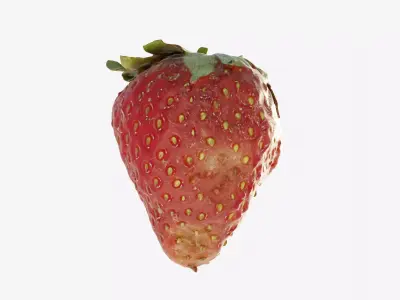 Scanned Strawberry Berry Low-poly 3D model