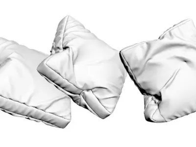 Five sofa cushions 3D model