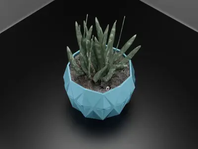 succulent pot planter  3D print model