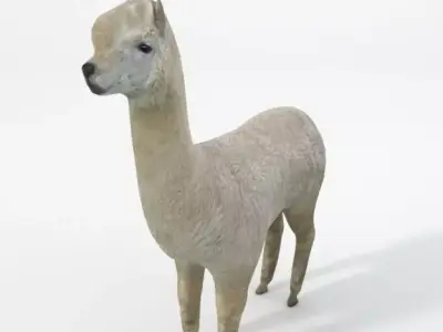 Llama alpaca Low-poly 3D model