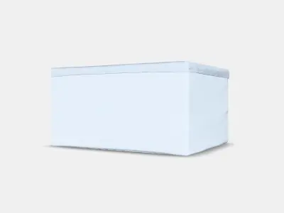 BAXNA Organizer Low-poly 3D model