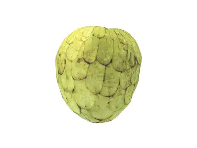 Photorealistic Cherimoya 3D Scan 6 3D model
