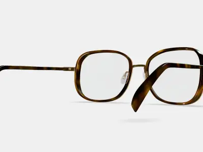 Fernanda Eyeglasses in Cognac Tortoise with Polished Gold 3D model
