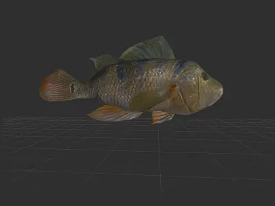 fish 4k Low-poly 3D model
