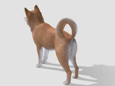 Dog - Shiba Inu Low-poly 3D model
