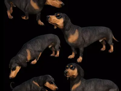 5 stand alone obj-10 3D model