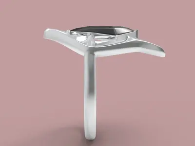 Coven Ring 3D print model