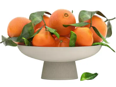 white bowl of oranges 3D model