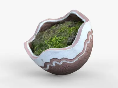 Broken Clay Planter with Moss Photorealistic 3D scan Low-poly 3D model