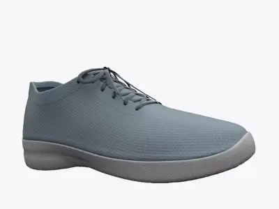 Sneaker Low-poly 3D model