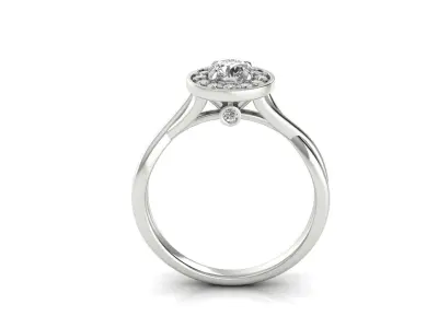 Ring 163 3D print model