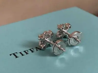 Tiffany earrings 3D print model purchase