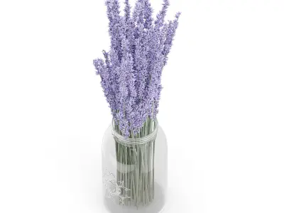 Purple Lupine in a Jar 3D model