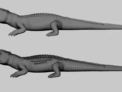 Baby Crocodile Low-poly 3D model