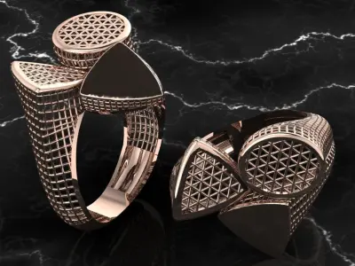 Fusion ring  3D print model