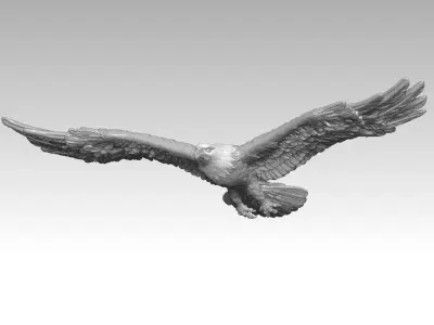 Bald eagle-3D print model 3D print model