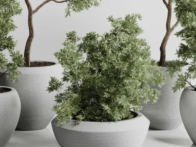 Collection indoor outdoor plant 288 plant tree 3D model