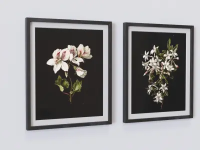 Vintage Botanical Collection 1 Low-poly 3D model
