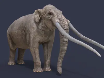 Anancus arvernensis Low-poly 3D model