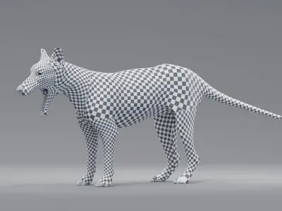 tylacine marsupial wolf Low-poly 3D model