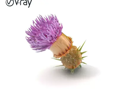 Thistle Flower Delicate Petal Model Pack Low-poly 3D model