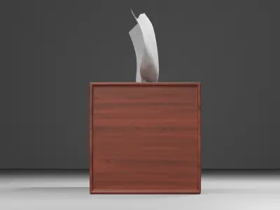 Wooden Tissue Box 3d model 3D model