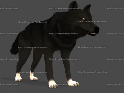 WOLF RIGGED ANIMATED 6 Low-poly 3D model