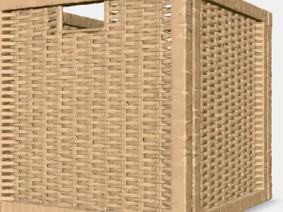 BRANAS Basket 1 Low-poly 3D model