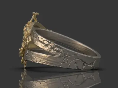 Gorgon Head Ring  3D print model