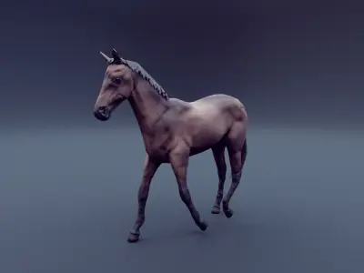 horse animated Low-poly 3D model