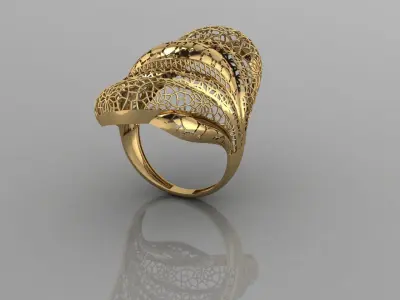 TORTURIAL RING 3D print model get