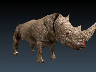 Rinosaurs rhinoceros Low-poly 3D model