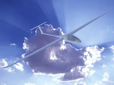 DG 1000 Free 3D model