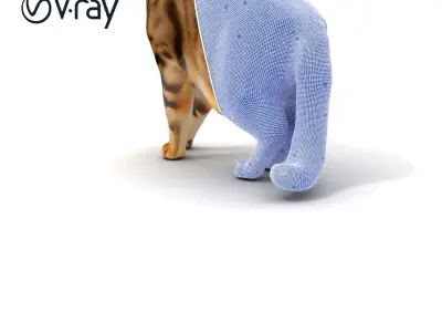 Realistic Cat Model Pack for Games and Animation Low-poly 3D model