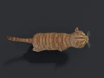 Cartoon Cat Orange 3D Model Low-poly 3D model
