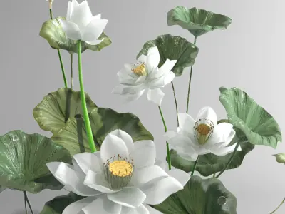 White lotus vase water lily vase tropical asian indochina 3D model