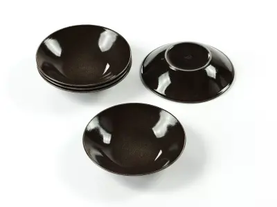 POLYPASTA - broste copenhagen nordic coal plate 3D model