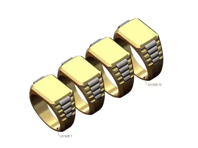 Rectangular presidential link inserts signet US sizes 7to10 3D print model