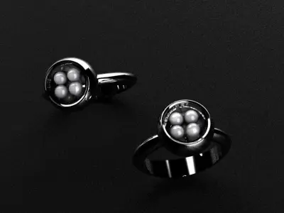 Rings gold and silver ring 3D print model