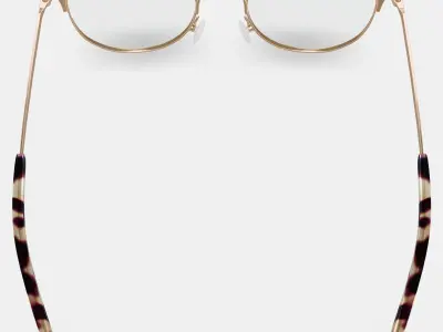 Ava Eyeglasses in Polished Gold with Brushed Navy 3D model