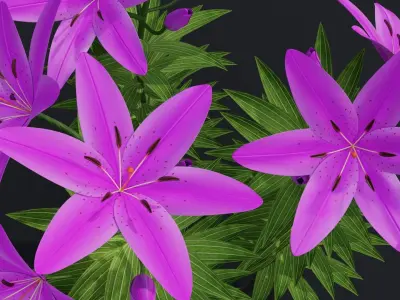 Lilium Lily Plant Low-poly 3D model